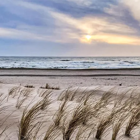 In With Wifi Dirkshorn