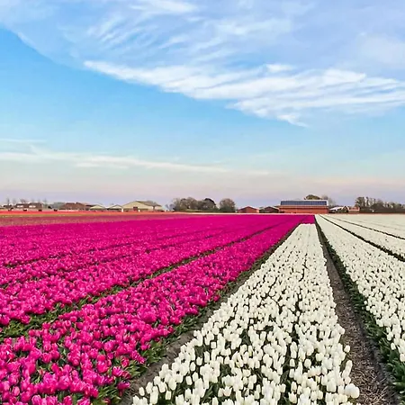 Vakantiehuis In With Wifi *